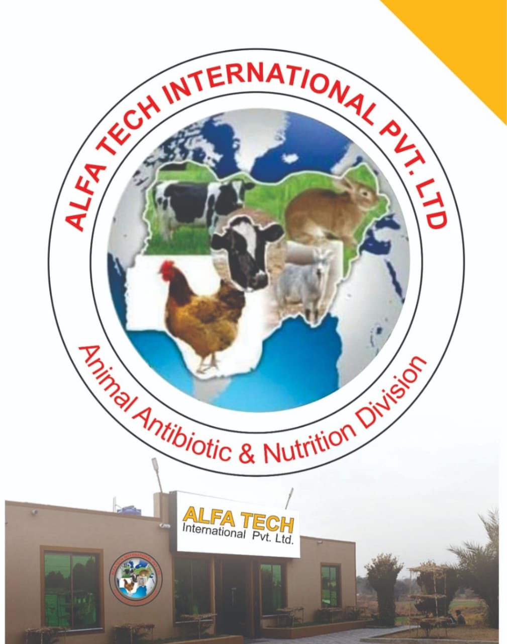 Alfa Tech International